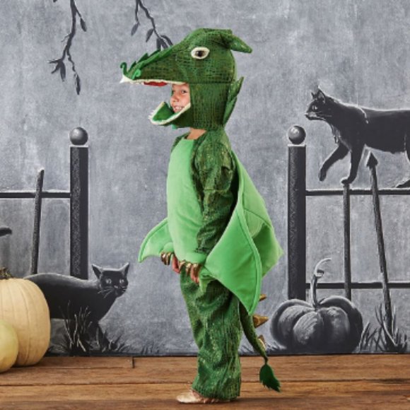 Pottery Barn Kids Costumes Pottery Barn Kids Green Dragon Costume
